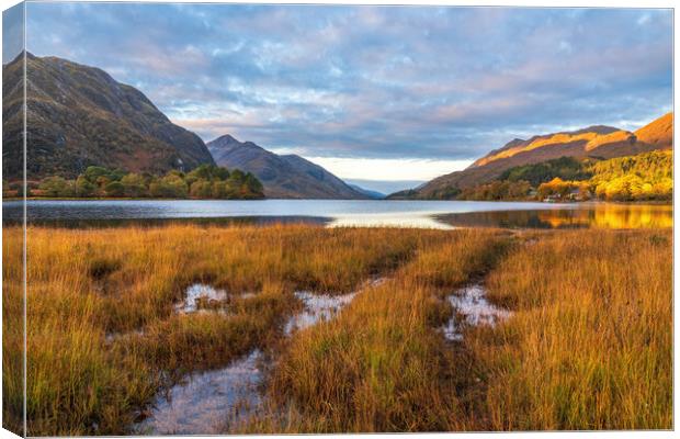 Autumn Morning on Loch Shiel Canvas Print by Miles Gray