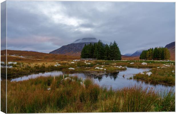 The Buachaille from Kingshouse Canvas Print by Miles Gray