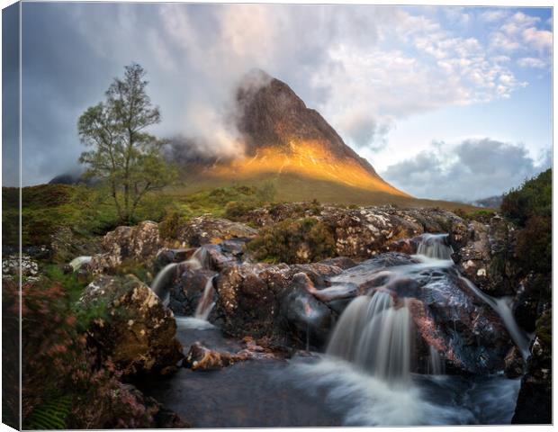 The Herdsman of Etive, Glencoe Canvas Print by Miles Gray