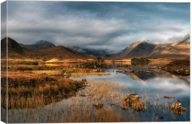 Rannoch Moor and the The Black Mount at Sunrise Canvas Print by Miles Gray