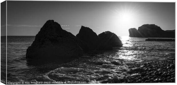 Rocks in the Sea Canvas Print by Ray Pritchard