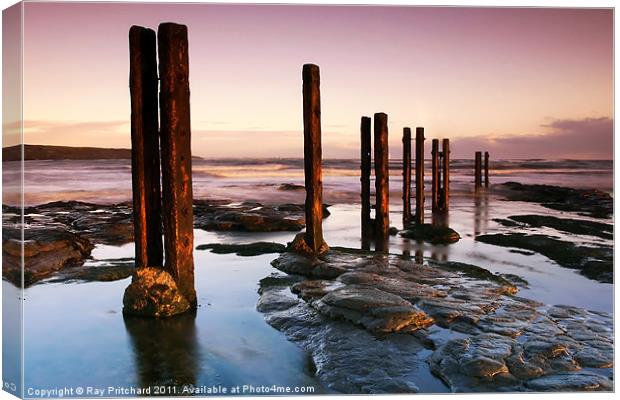 Old Wooden Posts Canvas Print by Ray Pritchard