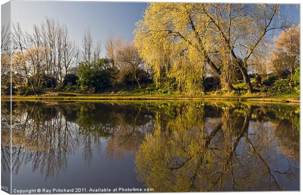 Exhibition Park Canvas Print by Ray Pritchard