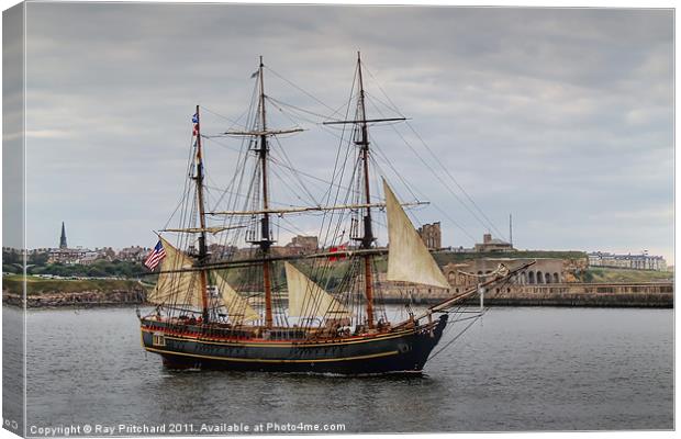 The Bounty Canvas Print by Ray Pritchard