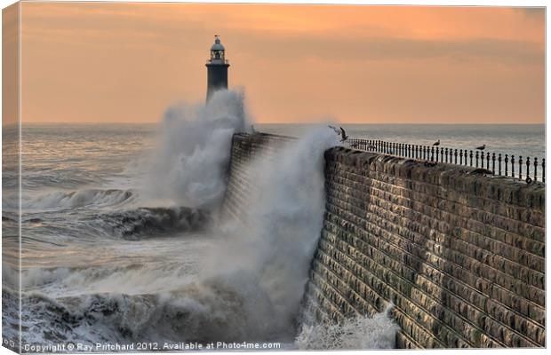 Tynemouth Lighthouse Canvas Print by Ray Pritchard