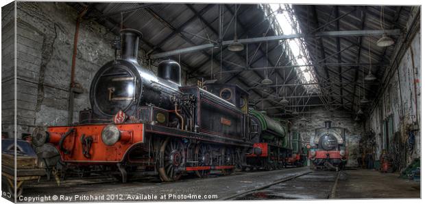 Tanfield Trains Canvas Print by Ray Pritchard