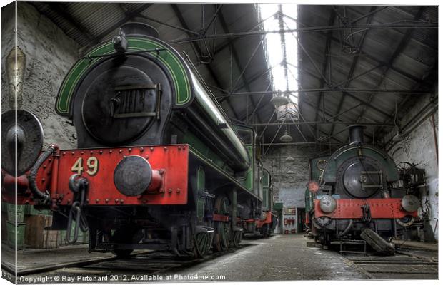 Tanfield Trains Canvas Print by Ray Pritchard