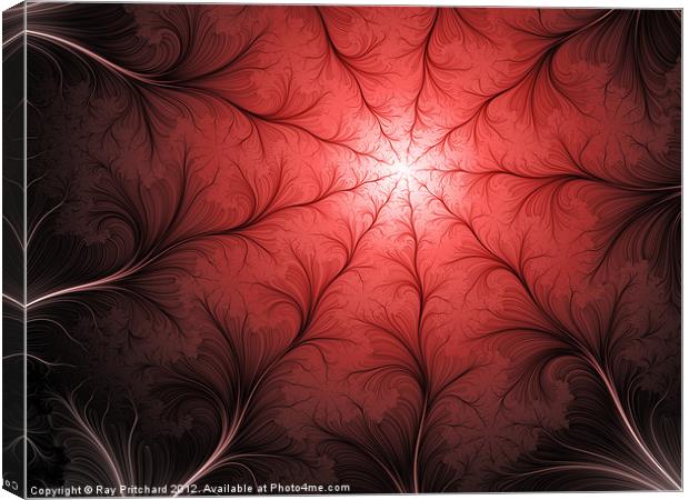 Thread Fractal Canvas Print by Ray Pritchard