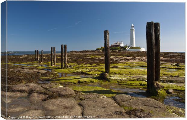 Old Posts at St Marys Canvas Print by Ray Pritchard