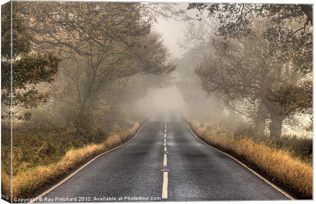 Road To Nowhere Canvas Print by Ray Pritchard