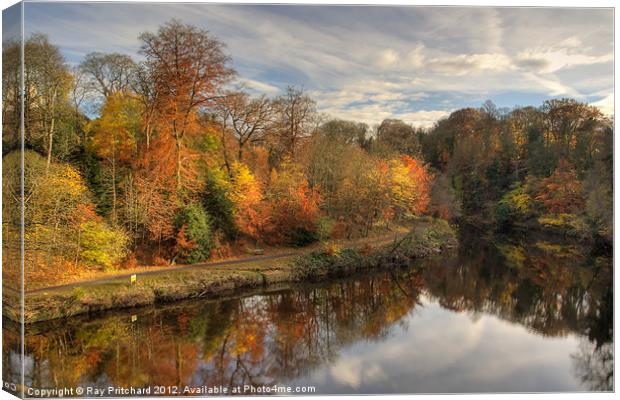 Autumn In Durham Canvas Print by Ray Pritchard
