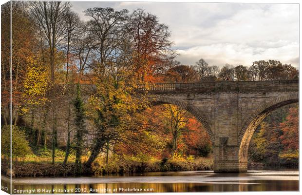Prebends Bridge in Autumn Canvas Print by Ray Pritchard
