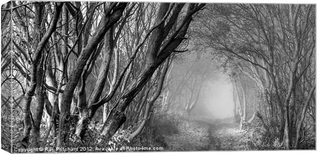 Mysterious Pathway Canvas Print by Ray Pritchard
