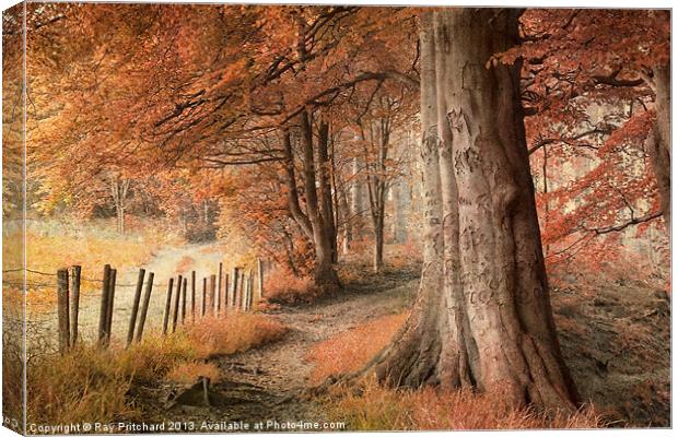 Ousbrough Woods Texturised Canvas Print by Ray Pritchard