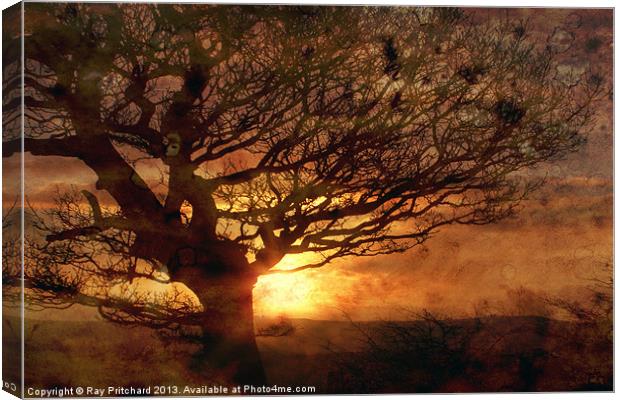 Sunset Over Beamish Canvas Print by Ray Pritchard