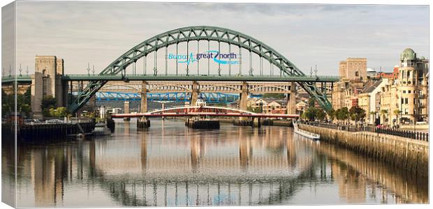 Newcastle Bridges Canvas Print by Ray Pritchard