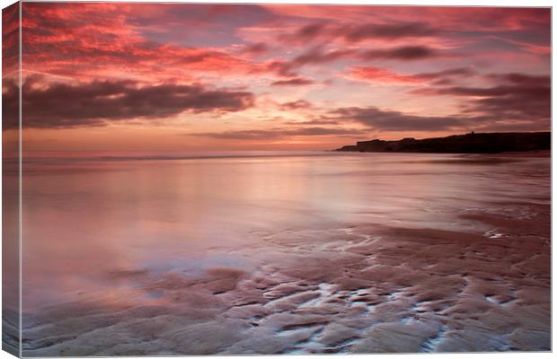Sandhaven Beach Canvas Print by Ray Pritchard