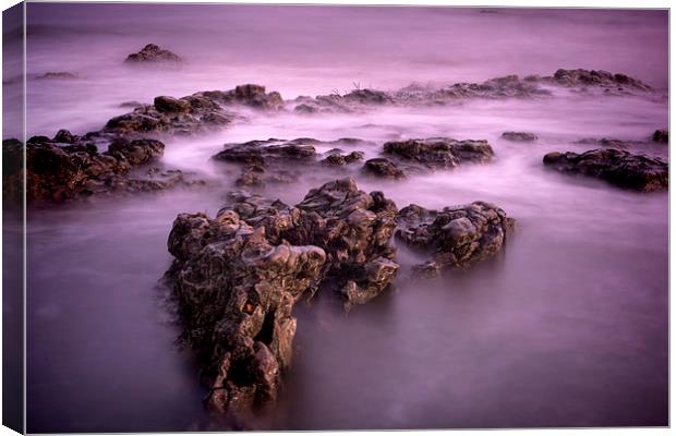 Rocks in the Sea Canvas Print by Ray Pritchard