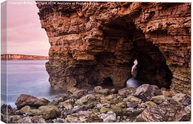 Marsden Rock-Close Up Canvas Print by Ray Pritchard