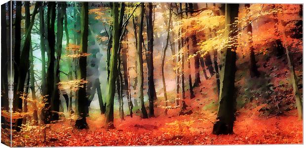 Painted Woods Canvas Print by Ray Pritchard