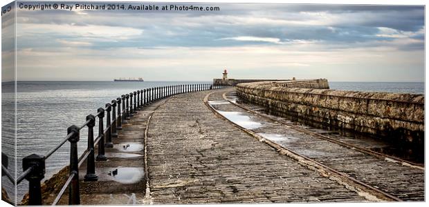 South Shields Pier and Lighthouse Canvas Print by Ray Pritchard