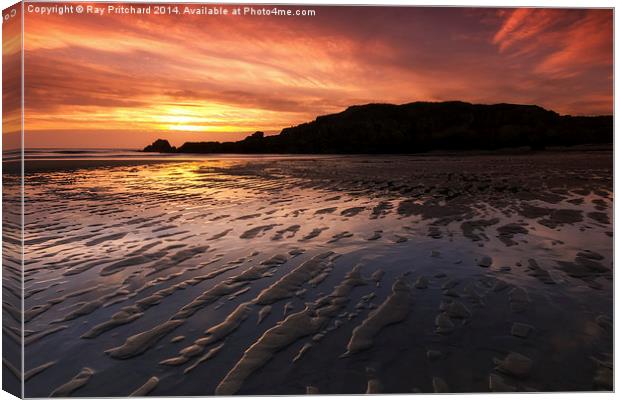   South Shields Beach Canvas Print by Ray Pritchard