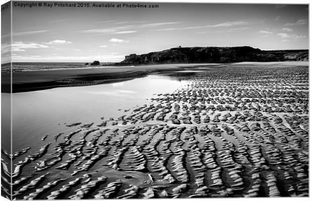  Sandhaven Beach Canvas Print by Ray Pritchard