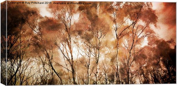  Textured Trees Canvas Print by Ray Pritchard