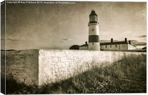 Souter Lighthouse Canvas Print by Ray Pritchard