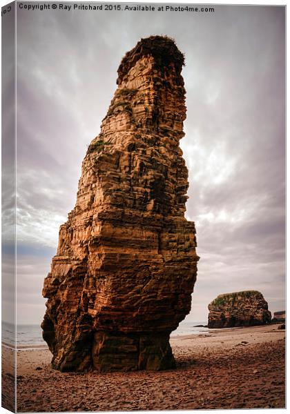  Lots Wife and Marsden Rock Canvas Print by Ray Pritchard
