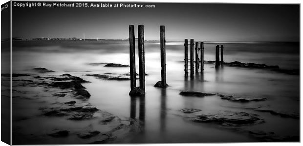  Wooden Posts Canvas Print by Ray Pritchard
