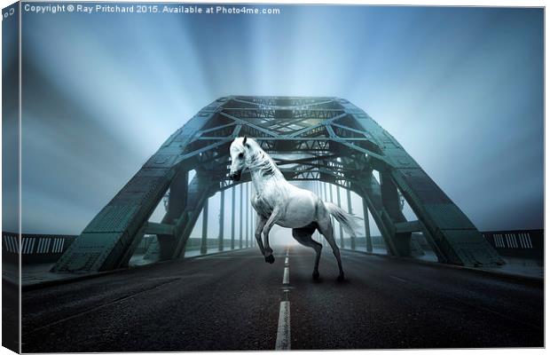   White Horse on the Tyne Bridge Canvas Print by Ray Pritchard