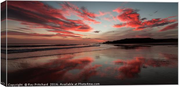 Sunrise on Sandhaven Beach Canvas Print by Ray Pritchard