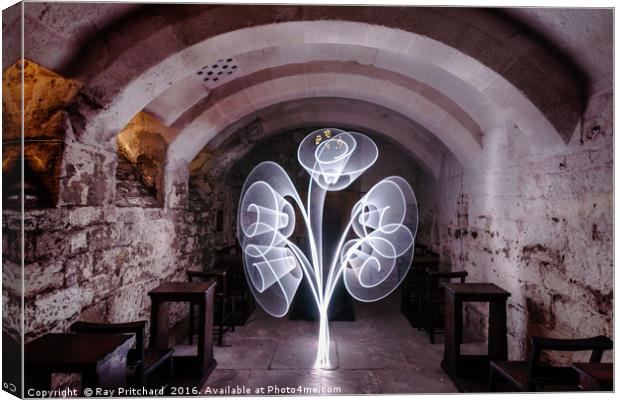 Light Tree in the Crypt Canvas Print by Ray Pritchard