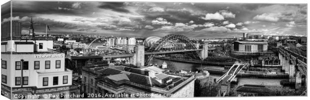 View from Newcastle Castle Canvas Print by Ray Pritchard