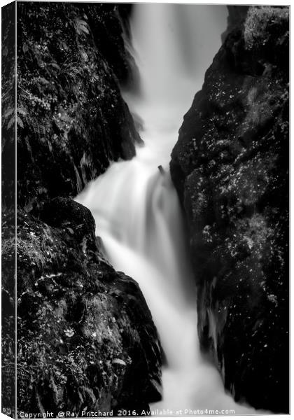 Aira Force Canvas Print by Ray Pritchard