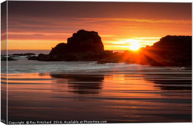 Sunrise at South Shields Beach Canvas Print by Ray Pritchard