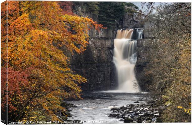 High Force Waterfall Canvas Print by Ray Pritchard