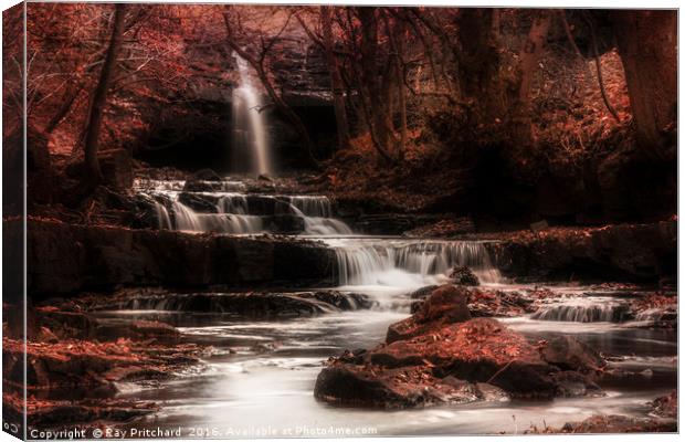 Bowlees Beck Canvas Print by Ray Pritchard