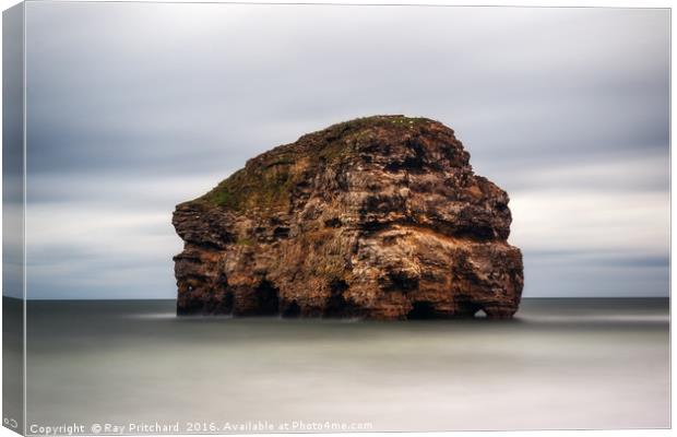 Marsden Rock Canvas Print by Ray Pritchard