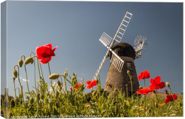 Windmill and Poppies Canvas Print by Ray Pritchard