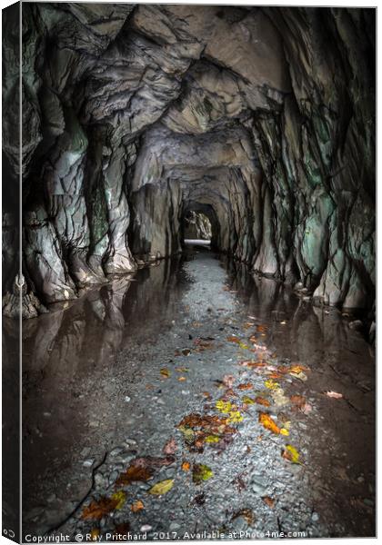 Entrance to Cathedral Cavern Canvas Print by Ray Pritchard