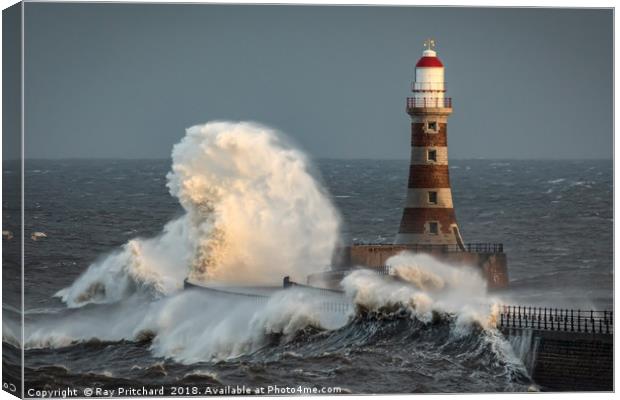 Roker Lighthouse Canvas Print by Ray Pritchard