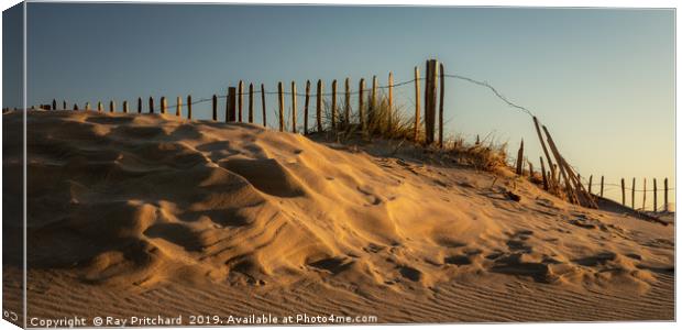 South Shields Sand Dunes  Canvas Print by Ray Pritchard