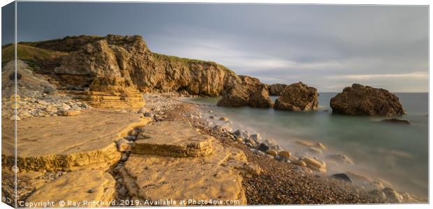 Trow Point  Canvas Print by Ray Pritchard