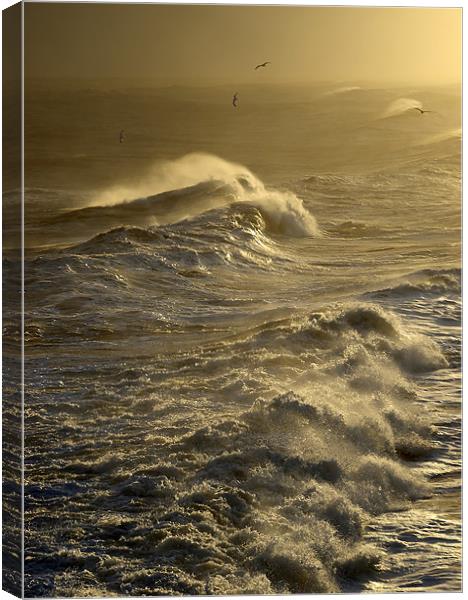 The Waves Canvas Print by Ray Pritchard