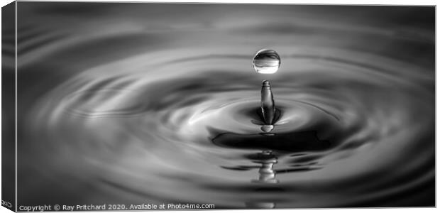 Water Drop  Canvas Print by Ray Pritchard