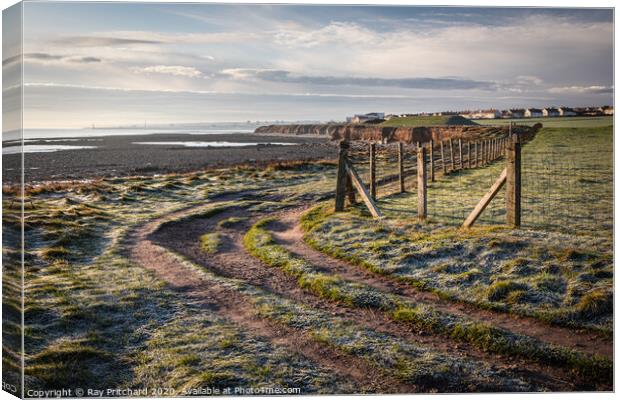Walk to Roker Canvas Print by Ray Pritchard