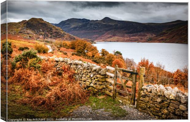 Gateway to Crummock Water  Canvas Print by Ray Pritchard