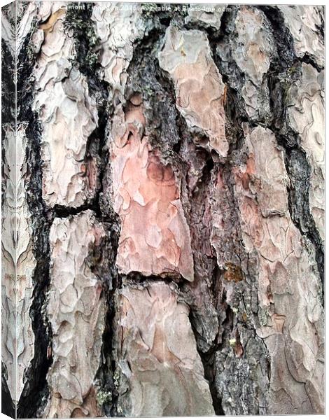  Bark Canvas Print by Lamont Finnegan